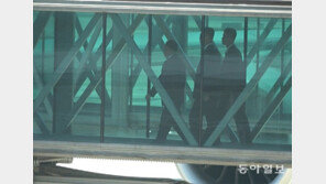 선글라스 요원 2명 대동한 김영철, 비즈니스석 타고 뉴욕으로