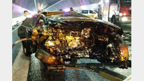 ‘만취 벤츠’ 역주행… 두 남매 둔 家長 참변