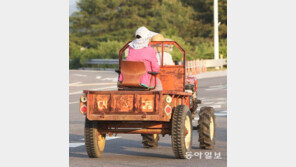 [고양이 눈]왕후의 좌석