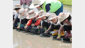 손 모내기 재미있어요