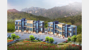 월악산 자락에 별장형 빌라 분양