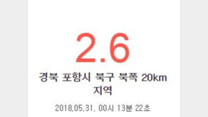 포항 지진, 6개월 새 101번 흔들…아파트값 ‘뚝’·상인들은 ‘울상’