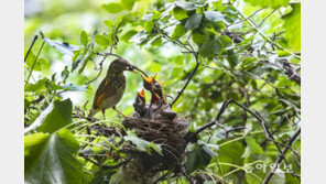[고양이 눈]미안하다