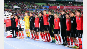 한국vs보스니아 평가전, 오후 8시 킥오프…에딘 제코를 직접, 실화냐?