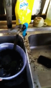 [영상]가정집 수도꼭지서 검은물이 콸콸…악취에 피부발진까지