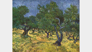 [책의 향기]생동감 넘치는 올리브나무, 인상파 화가를 매혹하다