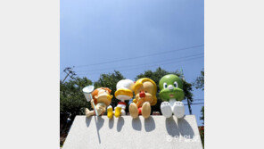 [고양이 눈]둘리네 일광욕