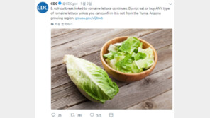 美 ‘대장균 로메인 상추’ 사태 확산… 사망자 5명으로 늘어