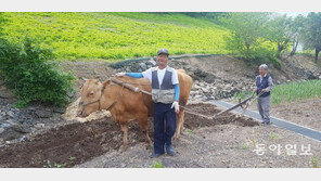 소가 쟁기질 하는 곳…조선후기 동학도-관군 교전으로 ‘핏골’ 불리기도