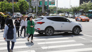 “아이고야!” 횡단보도 보행자 보고도 쌩~ 그대로 달리는 차량