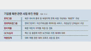 롯데 “北-中-러 아우르는 협력 강화”… 북방TF 꾸려 잰걸음