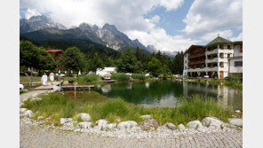 ‘미리 보는 월드컵’ 오스트리아, 인기몰이 왜?