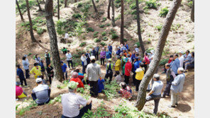 구본무 회장 별세 이후 ‘수목장 장례’ 확산되나
