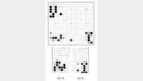 [바둑]알파고 vs 알파고 특선보… 초강수 대응