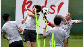 [청계천옆 사진관] 신태용과 차두리의 몸개그, 왜?