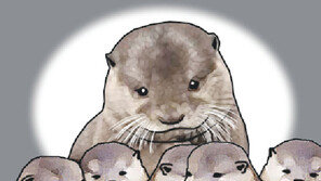 [왕은철의 스토리와 치유]〈41〉수달 어미의 뼈