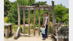 [고양이 눈]아들아 걱정 마라