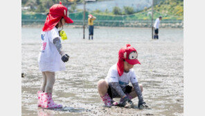 고사리손으로 잡은 조개와 해초가 가득…아이와 함께하는 다대어촌마을체험