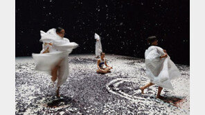 젊은 춤꾼들의 뜨거운 ‘몸짓’