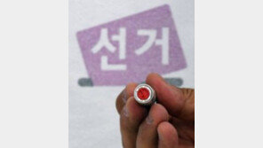 지방선거 사전투표소 100m반경서 특정후보 지지 언동 행위 주의