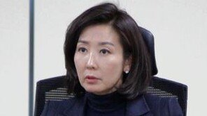 나경원 “안철수·김문수 단일화 어려울 것…安 양보 요구, 부적절”
