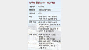 한국형 원전, 美인증에 한발더… 수출 大路 열린다