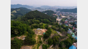 공주서 백제 무령왕릉 유사한 모습의 벽돌무덤 발견…80년 만에 확인