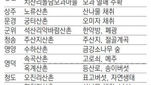 “경북 산촌마을에서 여름휴가 보내세요”