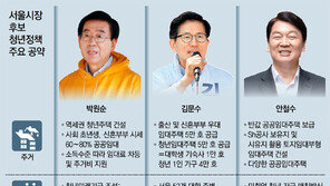 ‘공공임대’로 청년 표심잡기 3인동색