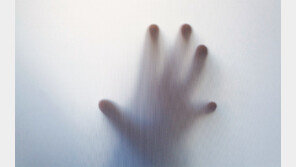 [책의 향기]위험이 닥치면 논리보다 두려움을 믿어라