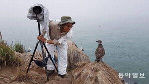 [고양이 눈]무관심