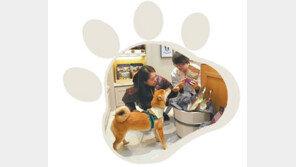 40만원 개모차-홍삼사료… 아낌없이 지갑 여는 펫피족