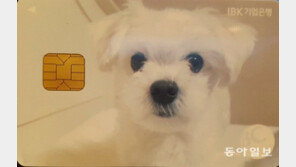 주인 사망땐 새 주인에 양육자금 주는 상품도