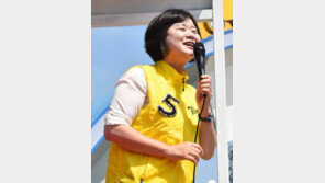 이정미 “정태옥 발언, 인천시민에 대한 모독…딱 자유한국당 수준”