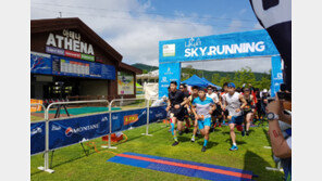 하이원 리조트 하늘길서 ‘스카이러닝’ 대회 성료