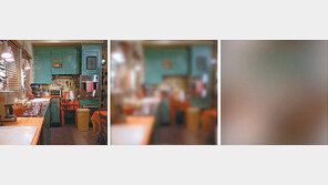 눈에 뵈는게 없는 모기