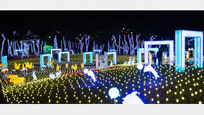 “사랑 고백은 충북 단양에서 하세요”