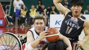 [고양이 눈]투혼