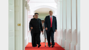 CNN “트럼프-김정은, 대화진전 인정·모멘텀 몰아가자는 합의에 서명”