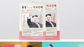  마스크팩 어디까지 써봤니? 동물 ·가면·  김정은 ‘이색 마스크팩’ 눈길