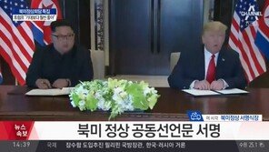 [북미정상 합의문 서명]김정은 “앞으로 세상은 중대한 변화 보게 될 것”