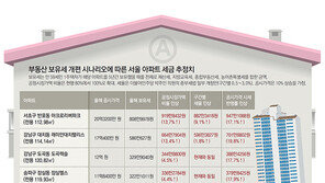 공정시장가액 비율 늘리면 보유세 최대 13% 증가