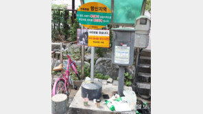 [고양이 눈]당신은 알고 있죠?