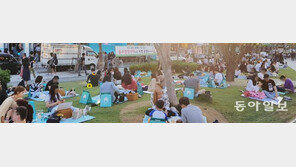 음주청정지역 비웃듯… 해만 지면 ‘술트럴파크’