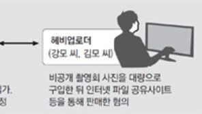 촬영 강요→사진 거래→불법 유통… 취미 아닌 돈벌이 조직범죄였다