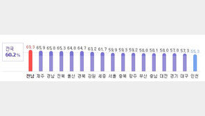 대형 이슈에 묻힌 6·13지방선거, 투표율은 역대급…경기·인천은 최하위
