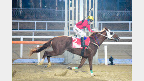 트리플크라운 시리즈 마지막 관문을 넘어라