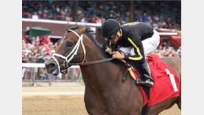 케이닉스 경주마 ‘미스터크로우’, 브리더스컵 노린다