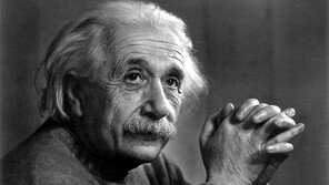 두 얼굴의 아인슈타인