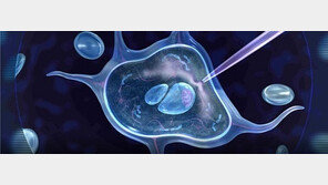 해양바이오기업 씨에버, ‘오솔레 오이스터’로 종자산업 미래 열어